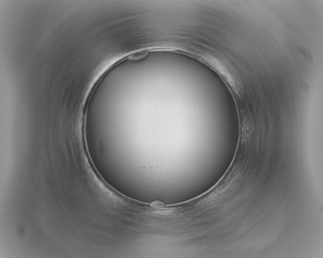 X0000116261484200912141257
