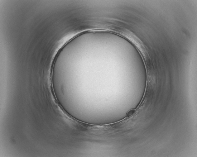 X0000116261485200912141257