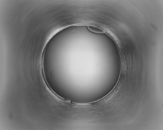 X0000116261487200912141257