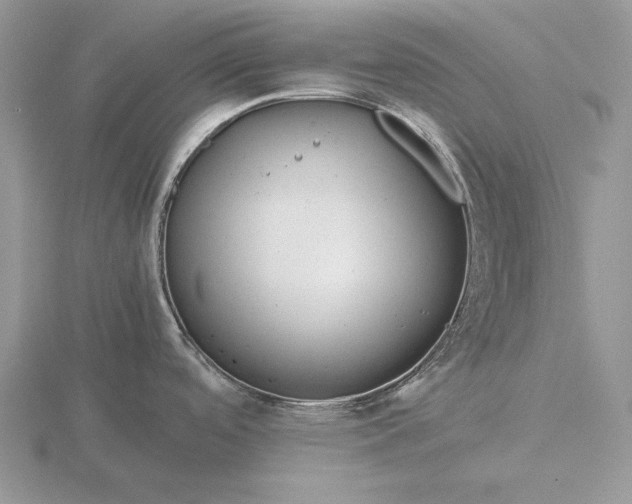 X0000116261488200912141257