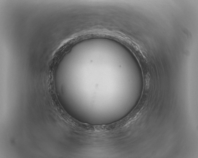 X0000116261494200912141257