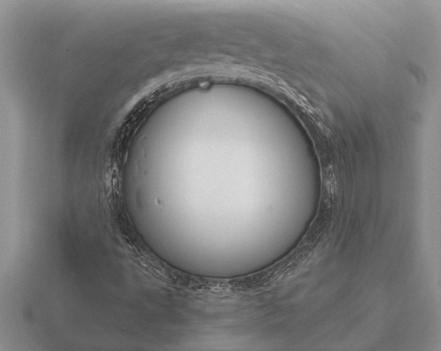 X0000116261495200912141257