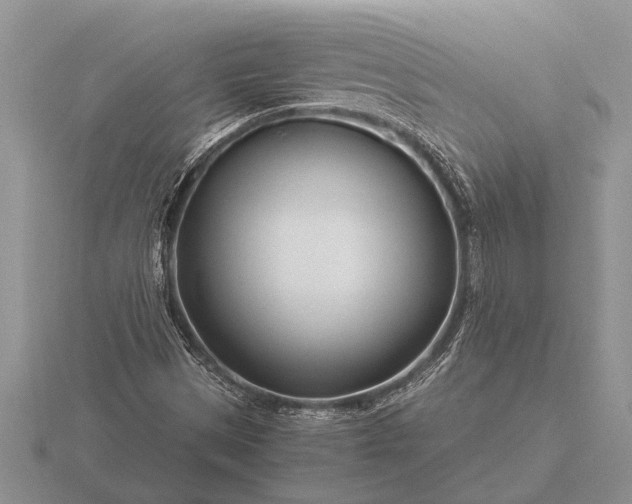 X0000116261497200912141257