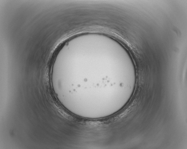 X0000116261498200912141257