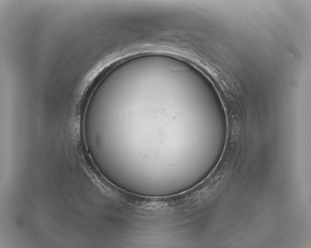 X0000116261503200912141257