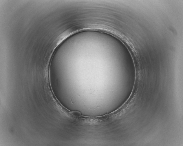 X0000116261521200912141257