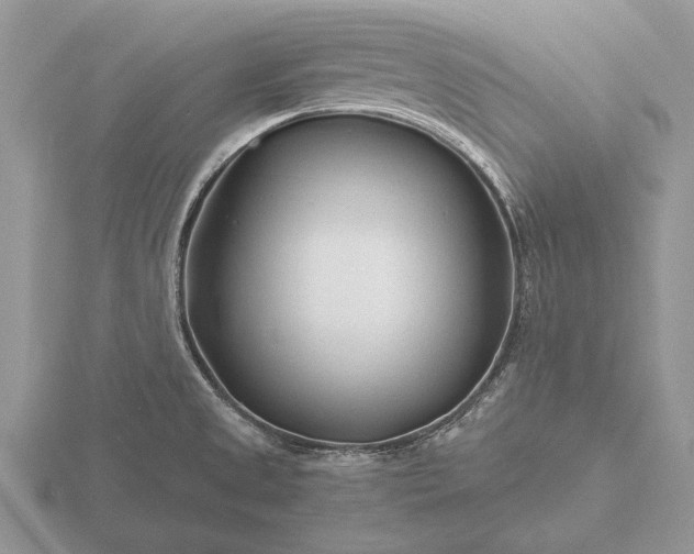 X0000116261525200912141257