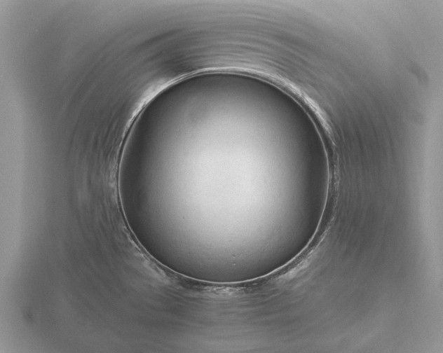 X0000116261529200912141257