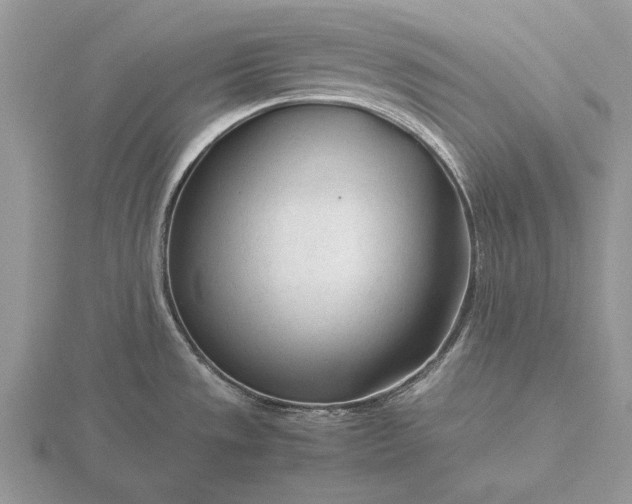 X0000116261533200912141257