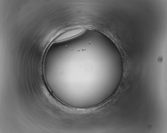 X0000116260002200912211746