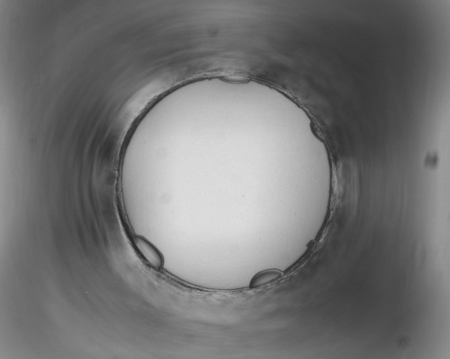 X0000116260003200912211746