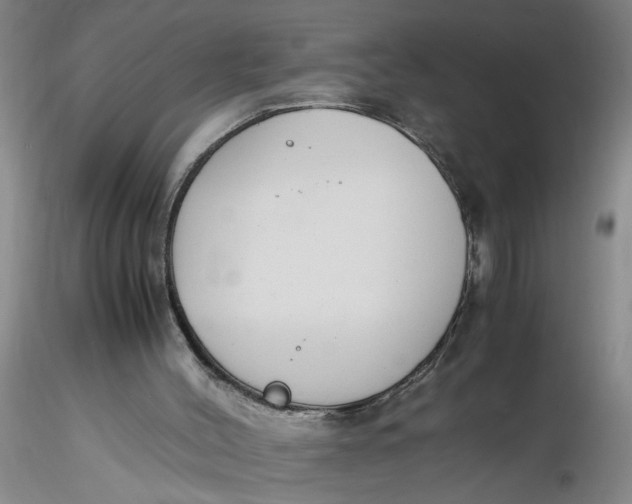 X0000116260004200912211746