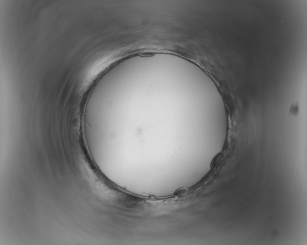 X0000116260005200912211746