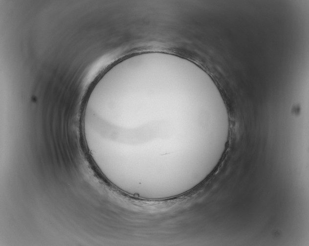 X0000116260006200912211746