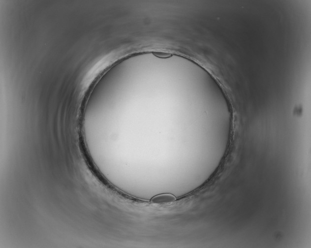 X0000116260007200912211746