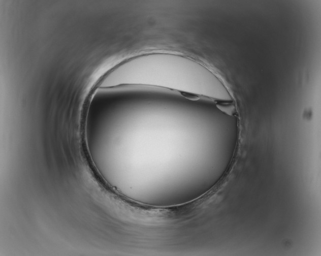 X0000116260008200912211746