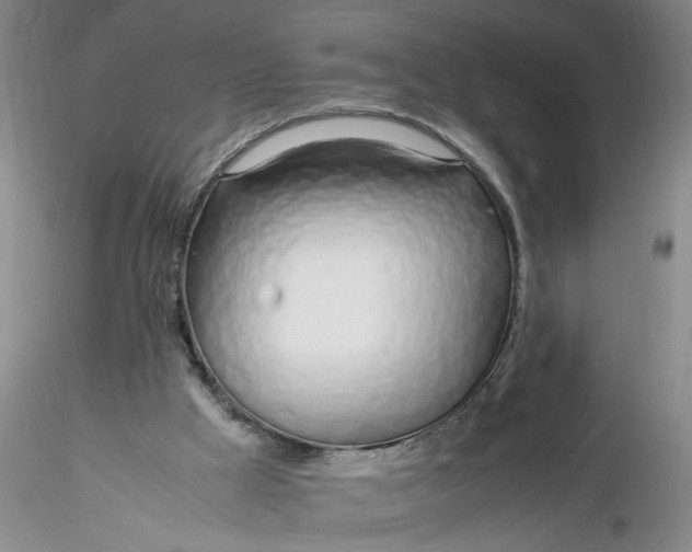 X0000116260009200912211746