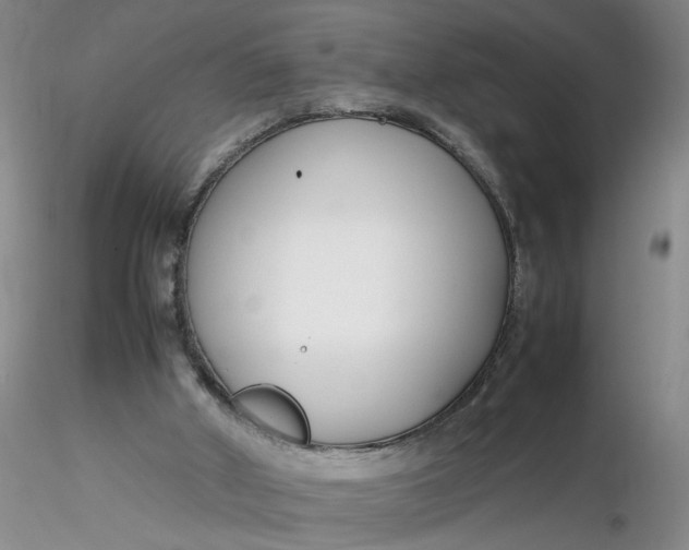 X0000116260010200912211746