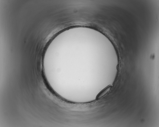 X0000116260011200912211746