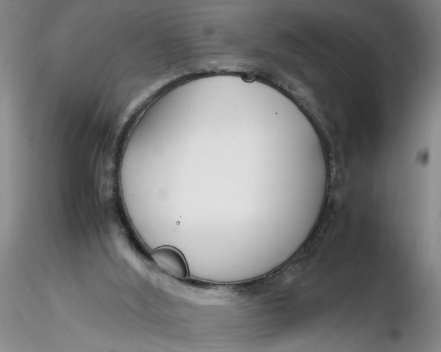 X0000116260012200912211746
