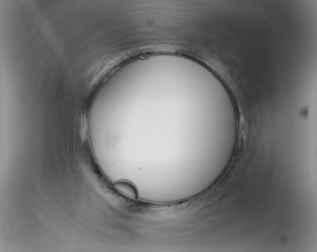 X0000116260013200912211746