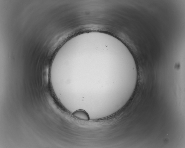 X0000116260014200912211746