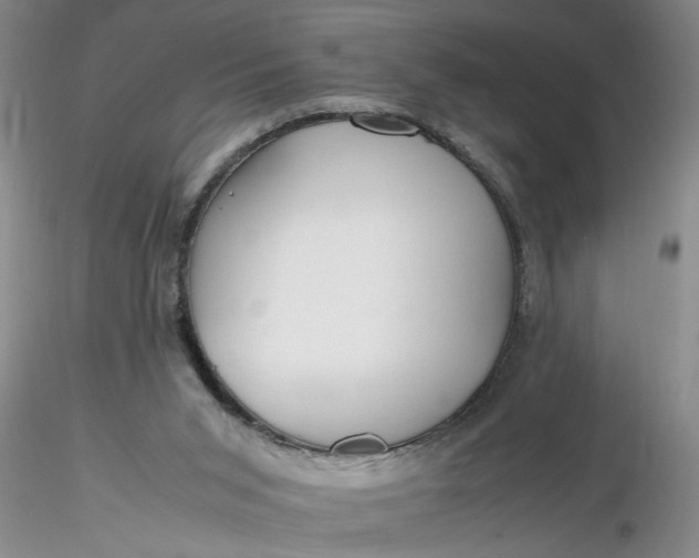 X0000116260015200912211746