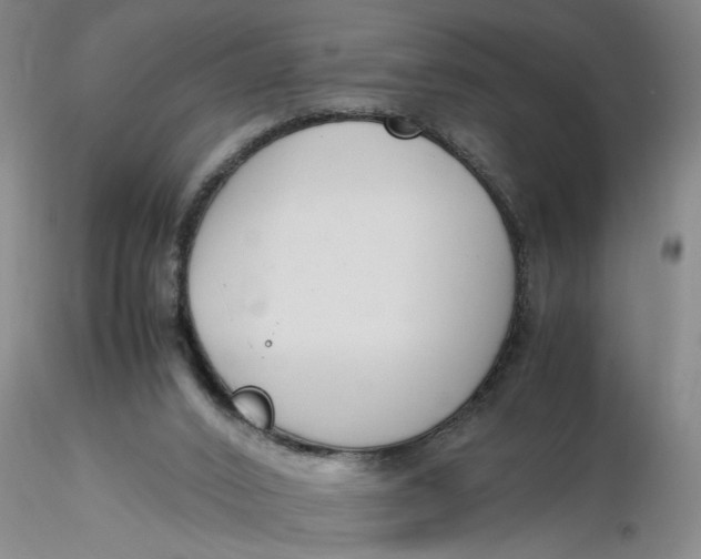 X0000116260016200912211746