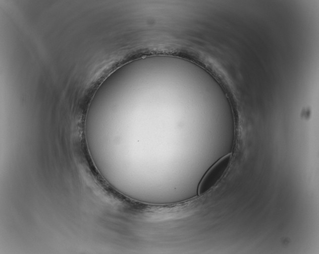 X0000116260017200912211746
