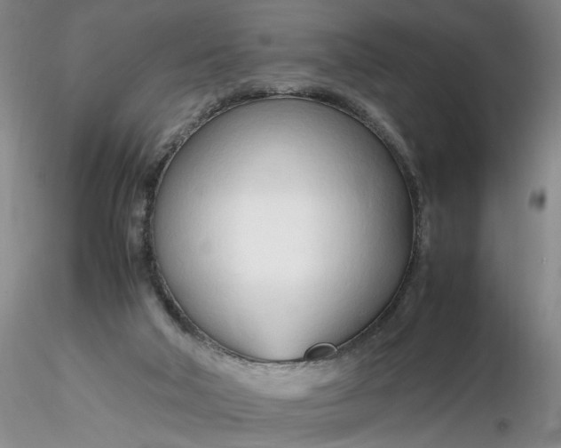 X0000116260018200912211746