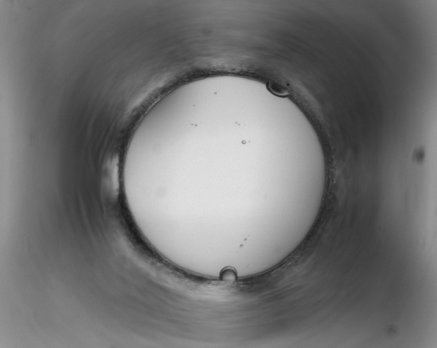 X0000116260020200912211746