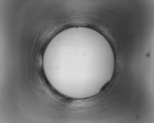 X0000116260021200912211746
