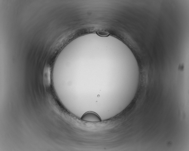 X0000116260022200912211746