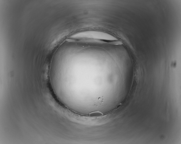 X0000116260023200912211746