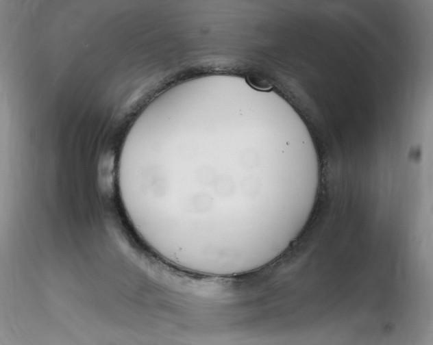 X0000116260024200912211746