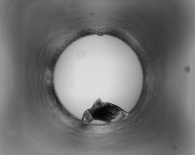 X0000116260025200912211746
