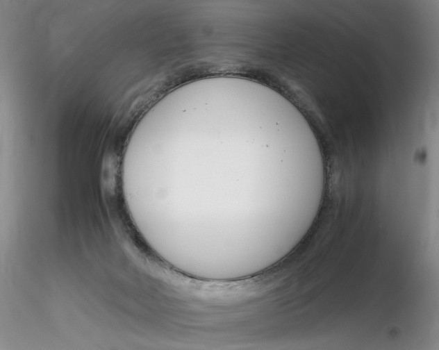 X0000116260026200912211746