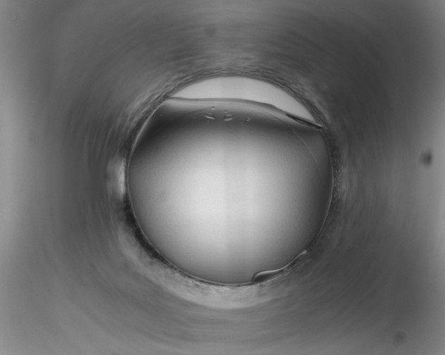 X0000116260027200912211746