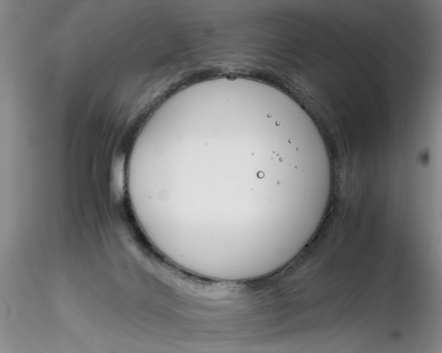 X0000116260028200912211746