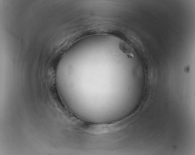 X0000116260029200912211746
