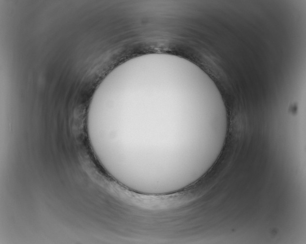 X0000116260030200912211746