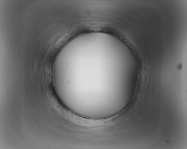 X0000116260031200912211746
