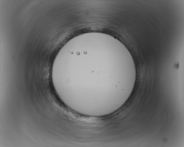 X0000116260032200912211746