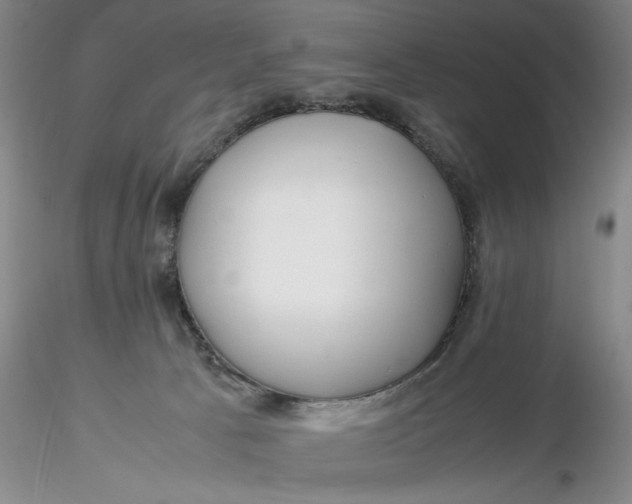 X0000116260033200912211746