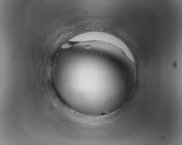 X0000116260035200912211746