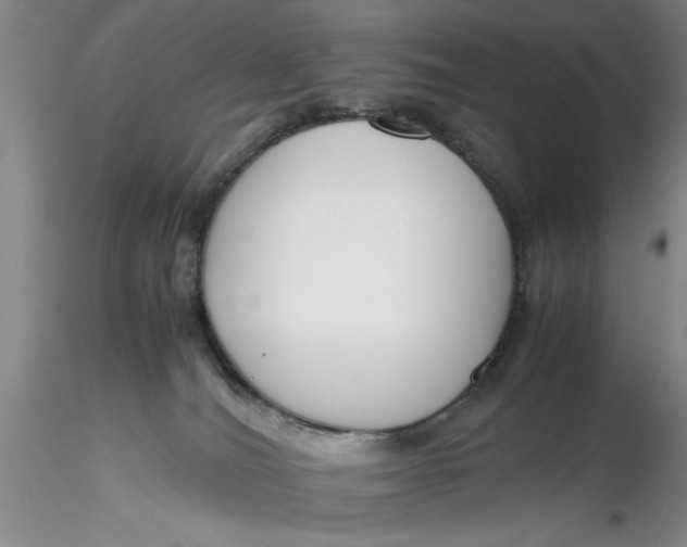 X0000116260036200912211746