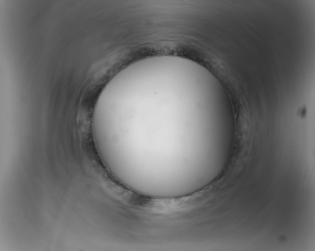 X0000116260037200912211746