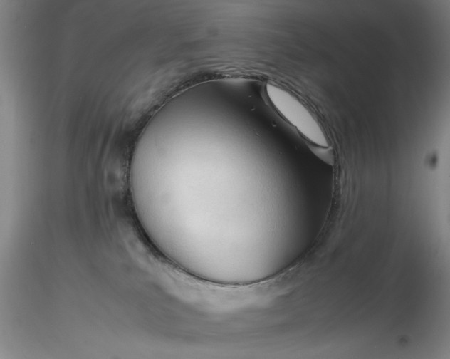 X0000116260039200912211745