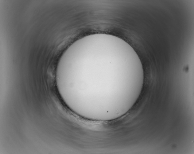 X0000116260040200912211745