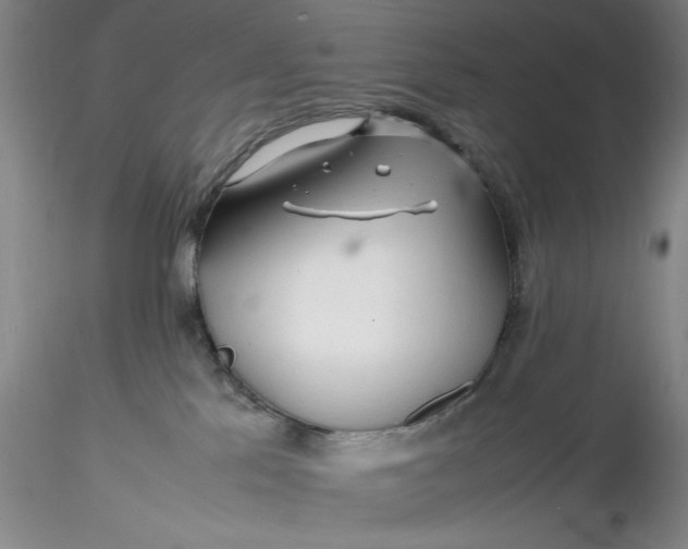 X0000116260041200912211745